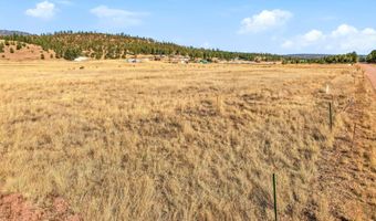 The Ranch at Alpine lot 23, Alpine, AZ 85920