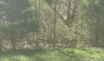 TRACT 2 W MAIN, Adamsville, TN 38310