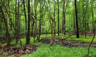 9625 S Lowell Rd, Bahama, NC 27503