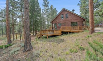 104 Six Bits St, Bailey, CO 80421