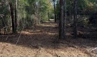 Tommy Tucker Road lot 2, Altha, FL 32421