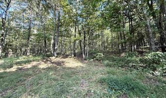 1150 Buzzard Rock Rd, Altoona, AL 35952