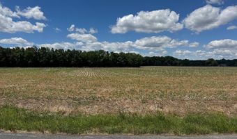 953 WHITE MARSH BRANCH Rd, Harrington, DE 19952