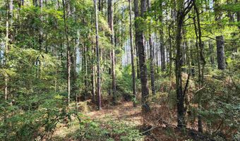 0 Lowery Rd Lot #10, Atmore, AL 36502