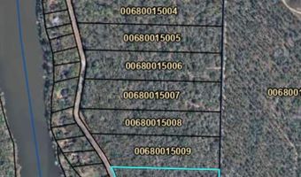 514 543 Tract 10 Rivervale Dr, Bainbridge, GA 39817