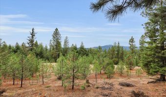 1571 Stone, Blanchard, ID 83804