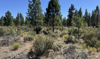 Bufflehead Drive 18, Bonanza, OR 97623