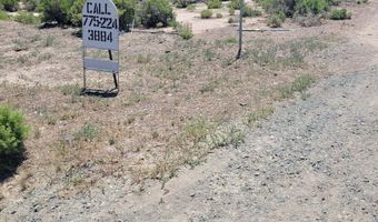 066-070 60 Dry Gulch 1, Gerlach, NV 89412