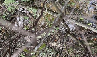 Putnam Avenue lot 30, Alford, FL 32420