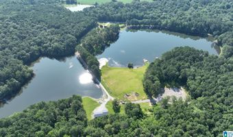 411 DR JENKINS Ln, Altoona, AL 35952