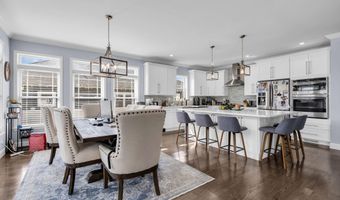 213 12th Ave, Belmar, NJ 07719