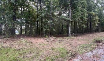 1 CENTURAS Cir 2, Alpine, AL 35014
