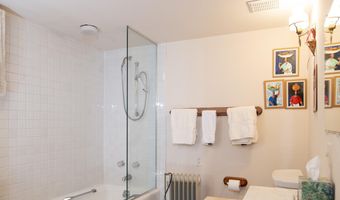 715 W Smuggler St, Aspen, CO 81611