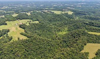 2585 Pow Rd, Baxter, TN 38544