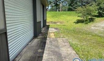 251 County Road 3941, Arley, AL 35541
