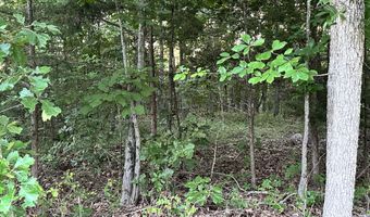 County Road 304, Alton, MO 65606