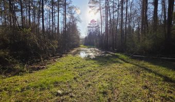 U.S. Highway 51, Bogue Chitto, MS 39629