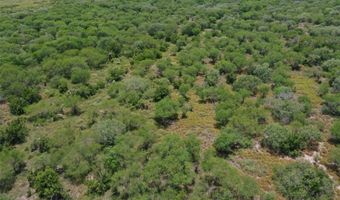 CR 331, Alice, TX 78332