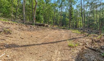 417 MALLARD Dr, Basye, VA 22810