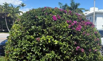 1070 98th St 11, Bay Harbor Islands, FL 33154