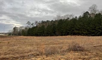 Lot 4 R A Johnson Dr, Columbia, MS 39429