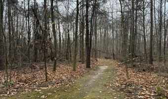 2564 E Brutus Rd, Alanson, MI 49706