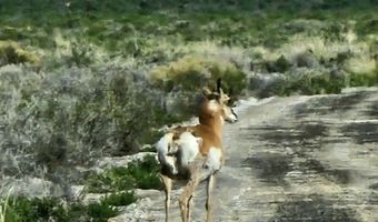 400 Cold Spring Point Rd, Crescent Valley, NV 89821