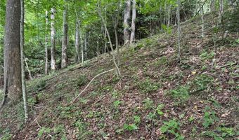 Tbd Boulder Gardens Road, Banner Elk, NC 28604