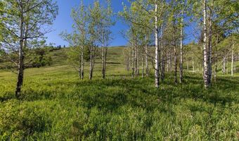 Trail Creek Road Lot 3, Bozeman, MT 59715