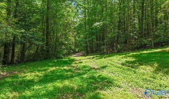 Unit # 0 Murphree Valley Road, Altoona, AL 35952