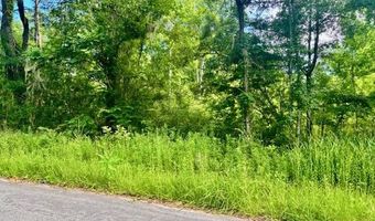 8946 Anderson Rd, Adams Run, SC 29426