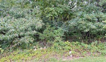 Martin Street lot 3 4 5, Ash Flat, AR 72513