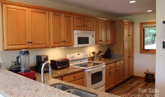 372 Silver Springs Dr 20, Banner Elk, NC 28604