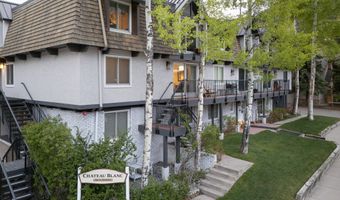 901 E Hyman Ave 4, Aspen, CO 81611