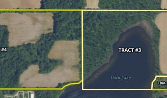 Arkansaw Tract 3, Allen, MI 49227