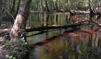 247 Horseshoe Trl, Barnwell, SC 29812