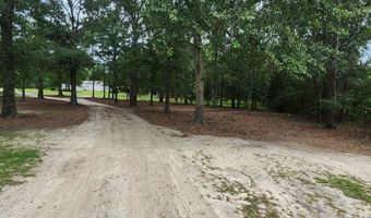 786 Blackberry Rd, Baconton, GA 31716