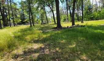 1694 Possum Track Dr, Alger, MI 48610