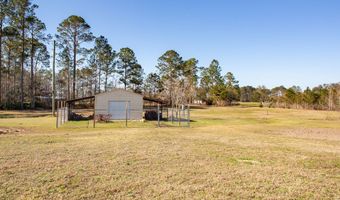 303 Dub Baxley, Baxley, GA 31513