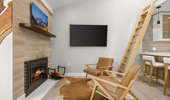 910 W Hallam St 9, Aspen, CO 81611