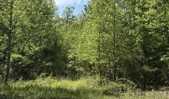 Davis Lane, Aroda, VA 22709