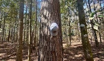 0 Tervin Mill Rd, Andalusia, AL 36421