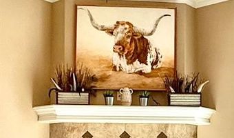 334 Miss Ellie Ln, Abilene, TX 79602