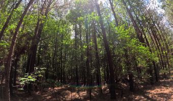 Christian Hts Road, Braxton, MS 39044