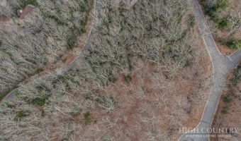 TBD Lot # 46 Woodlily Drive, Banner Elk, NC 28604