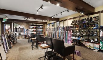 408 E Cooper Ave, Aspen, CO 81611