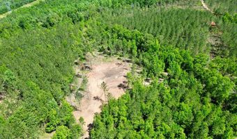 0 AL SR 223, Banks, AL 36005