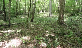 396 County Road 778, Athens, TN 37303