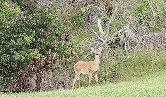 1668 State Hwy 498, Beattyville, KY 41311