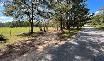 NA 2423 Chicora State Line Road, Buckatunna, MS 39322